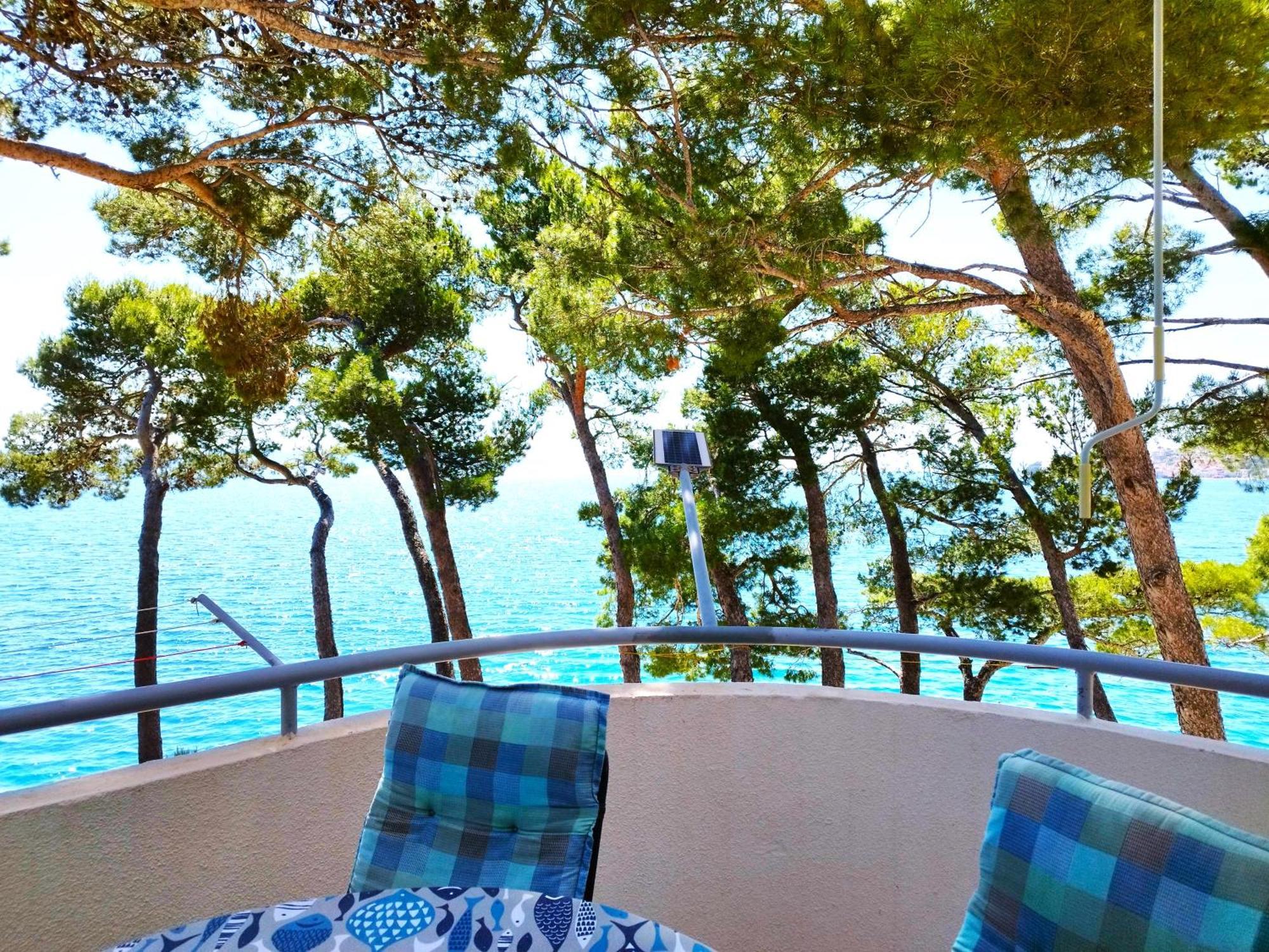 Apartment Jelas Živogošće エクステリア 写真